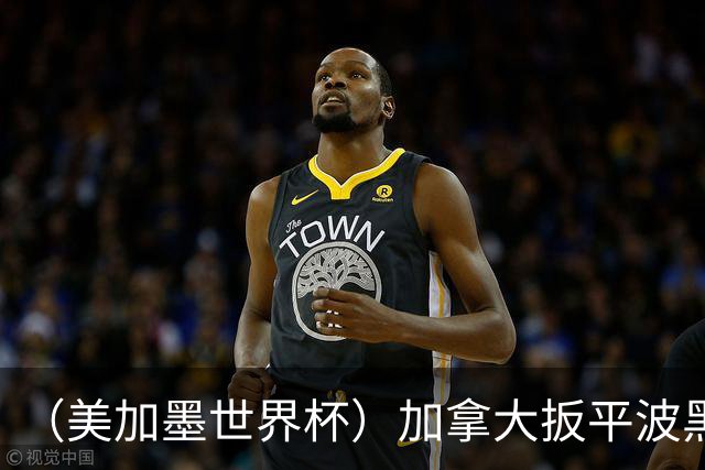 （美加墨世界杯）加拿大扳平波黑 获队史世界杯首分